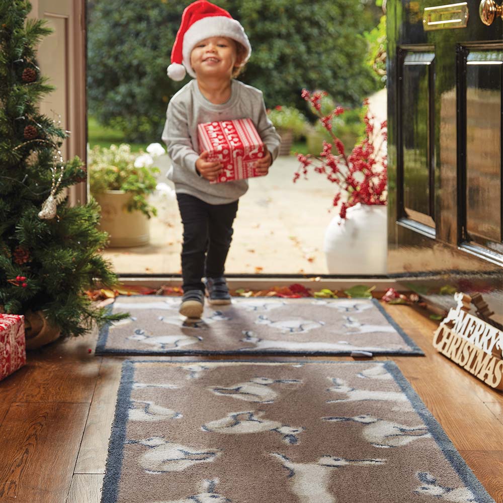 Hare 1 Brown Washable Doormat