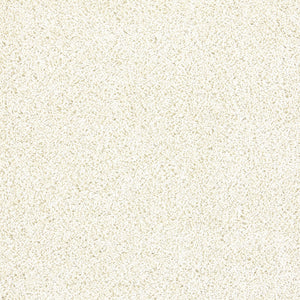 My Rug Washable in Ivory 6