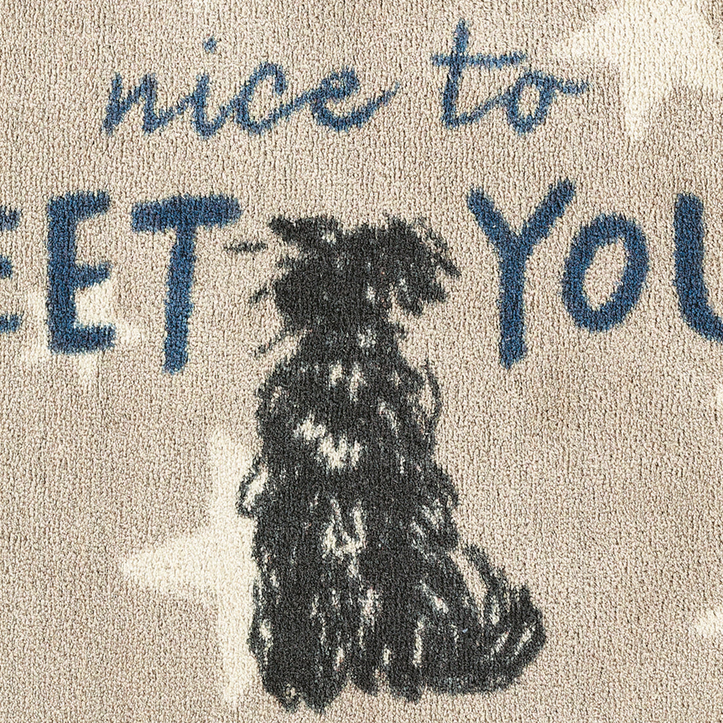 Close up image of the Battersea Meet You washable doormat pattern