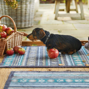 Lifestyle image of a dog sat on the Pet 80 washable doormat from Hug Rug