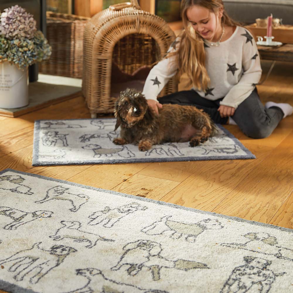 Pet 70 Dogs Grey Washable Doormat