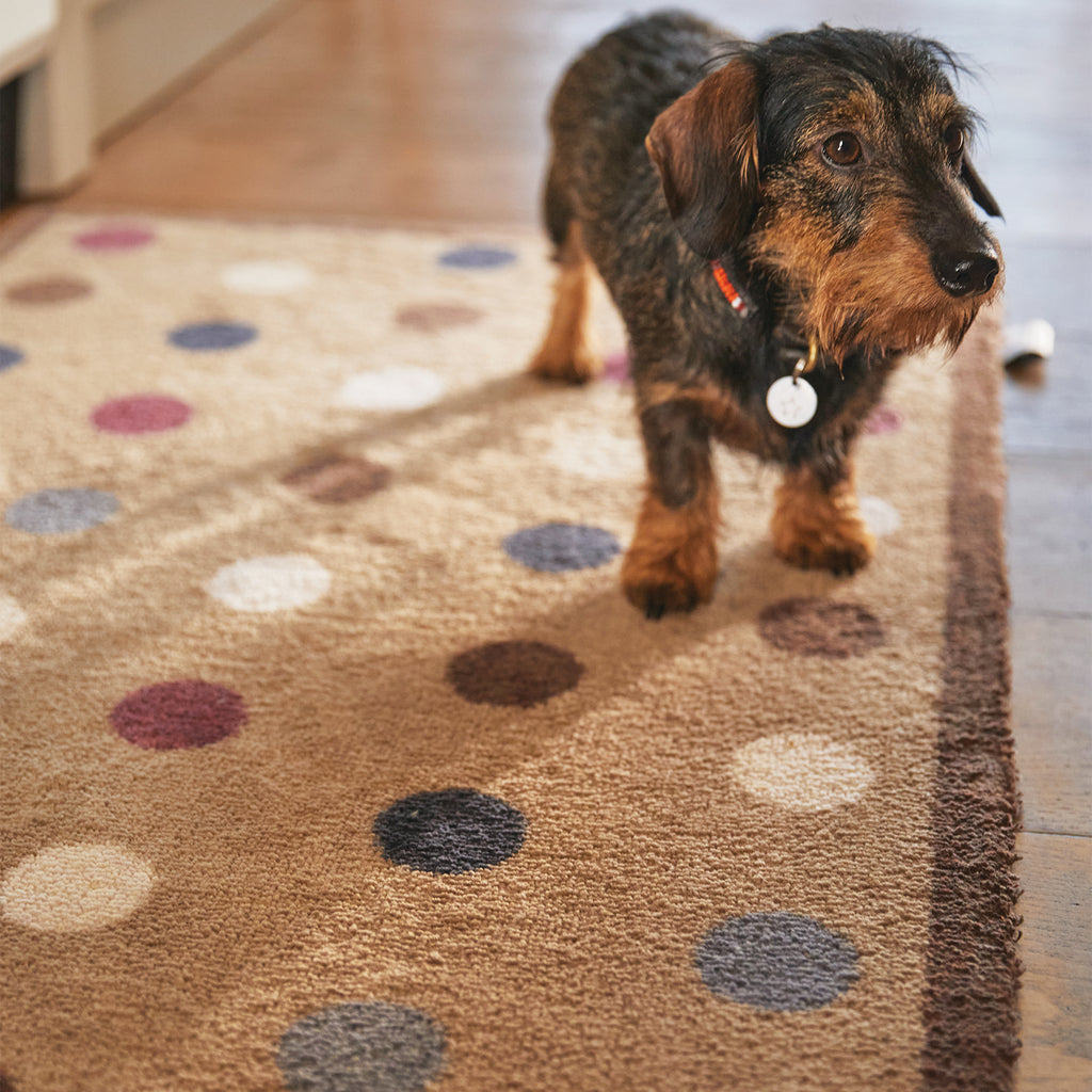 Spot 10 Brown Washable Doormat