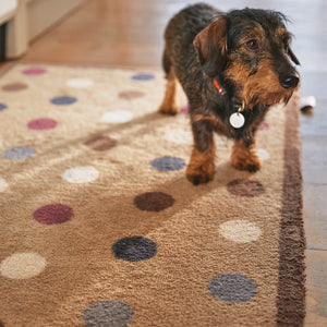 Spot 10 Brown Washable Doormat
