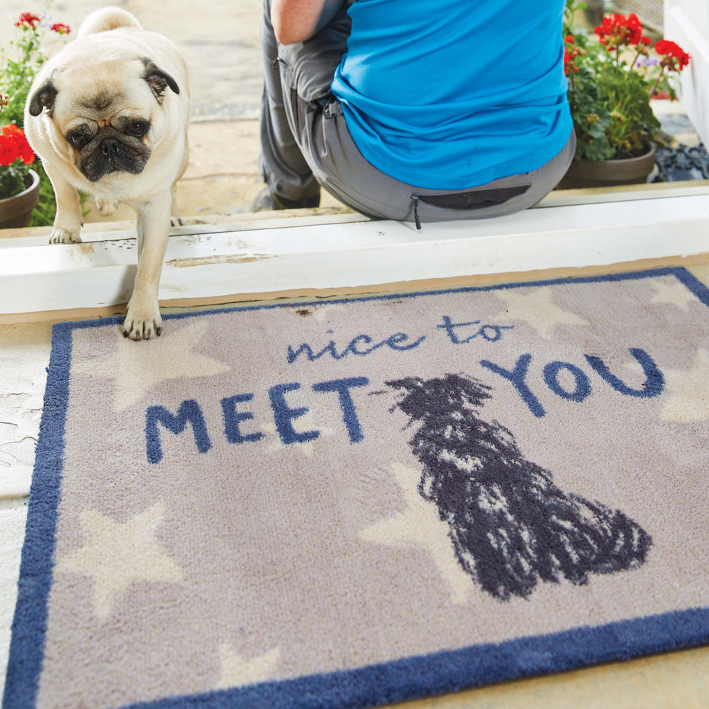 Lifestyle image of a dog walking on a Battersea Meet You Hug Rug washable doormat