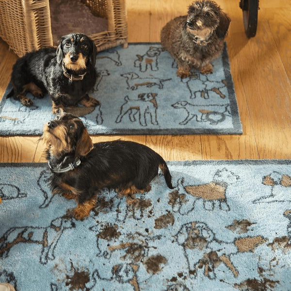 Collection of pet products including a pet bed, pet themed door mat and car boot protector