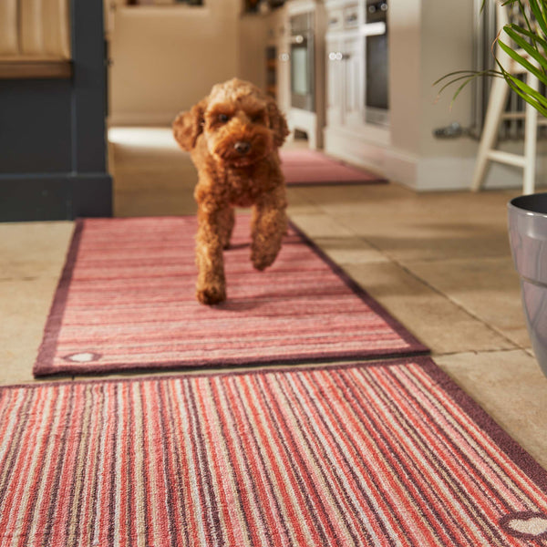 Orange/Red Rugs & Doormats