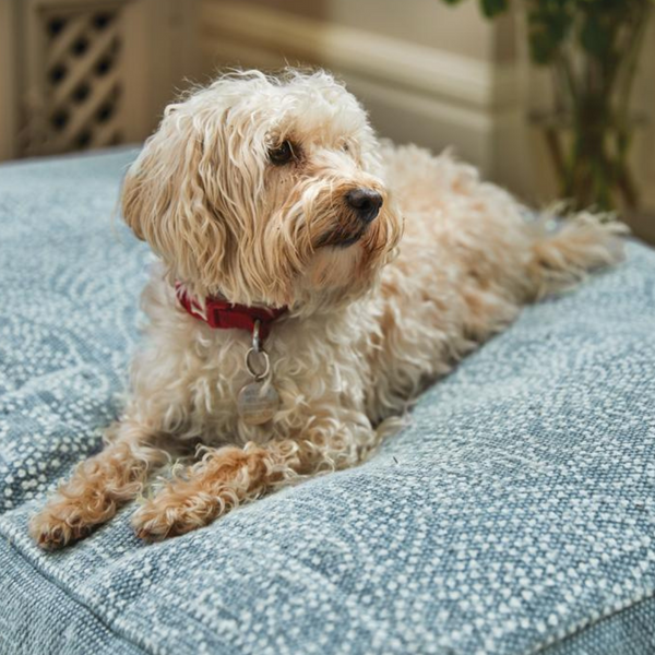 Pet Bed Dot Floral Denim Blue - Pet Beds - Hug at Home