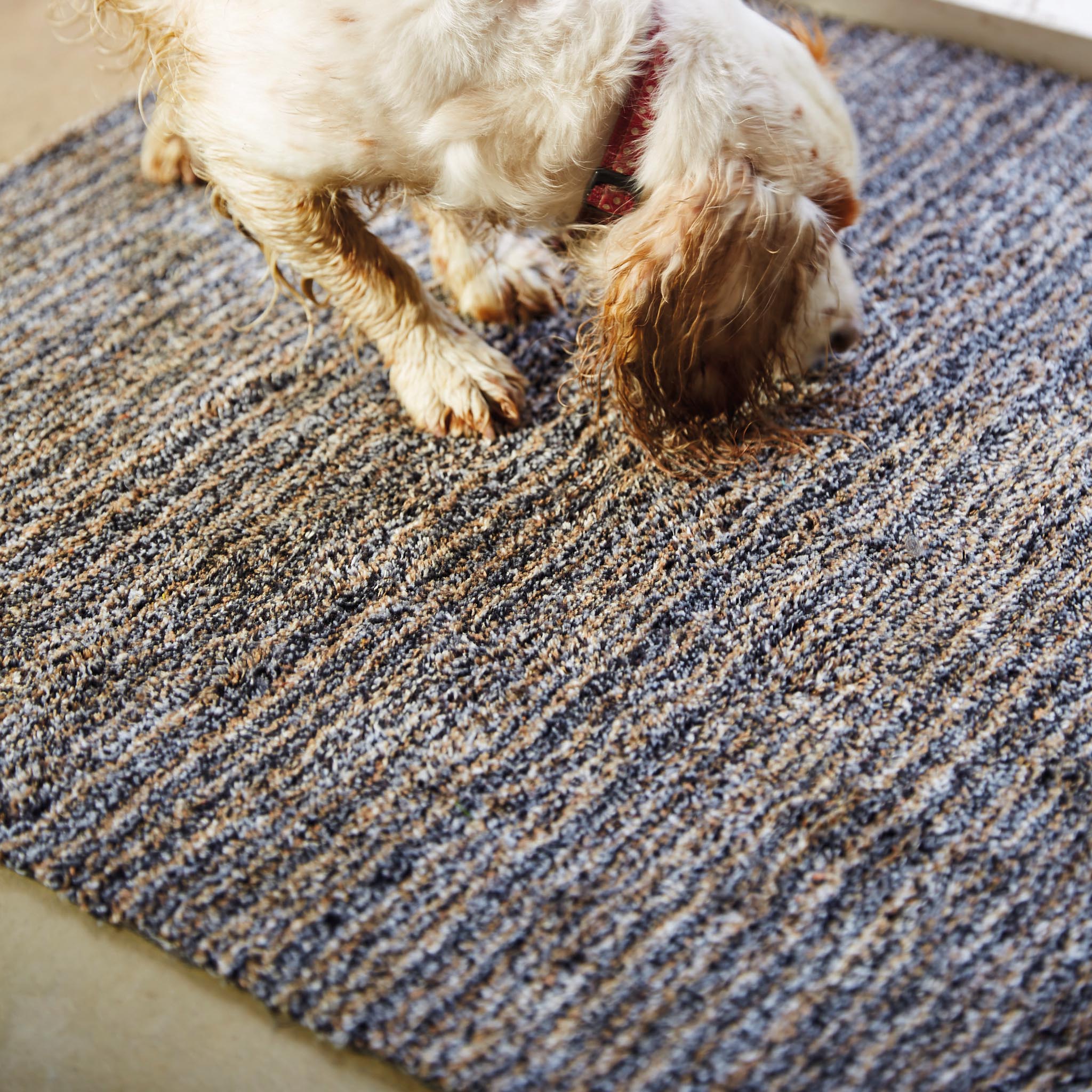 Candy Slate Striped Washable Doormat