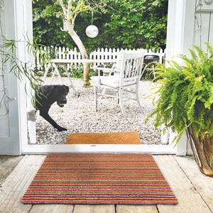 Candy Bright Stripe Washable Doormat