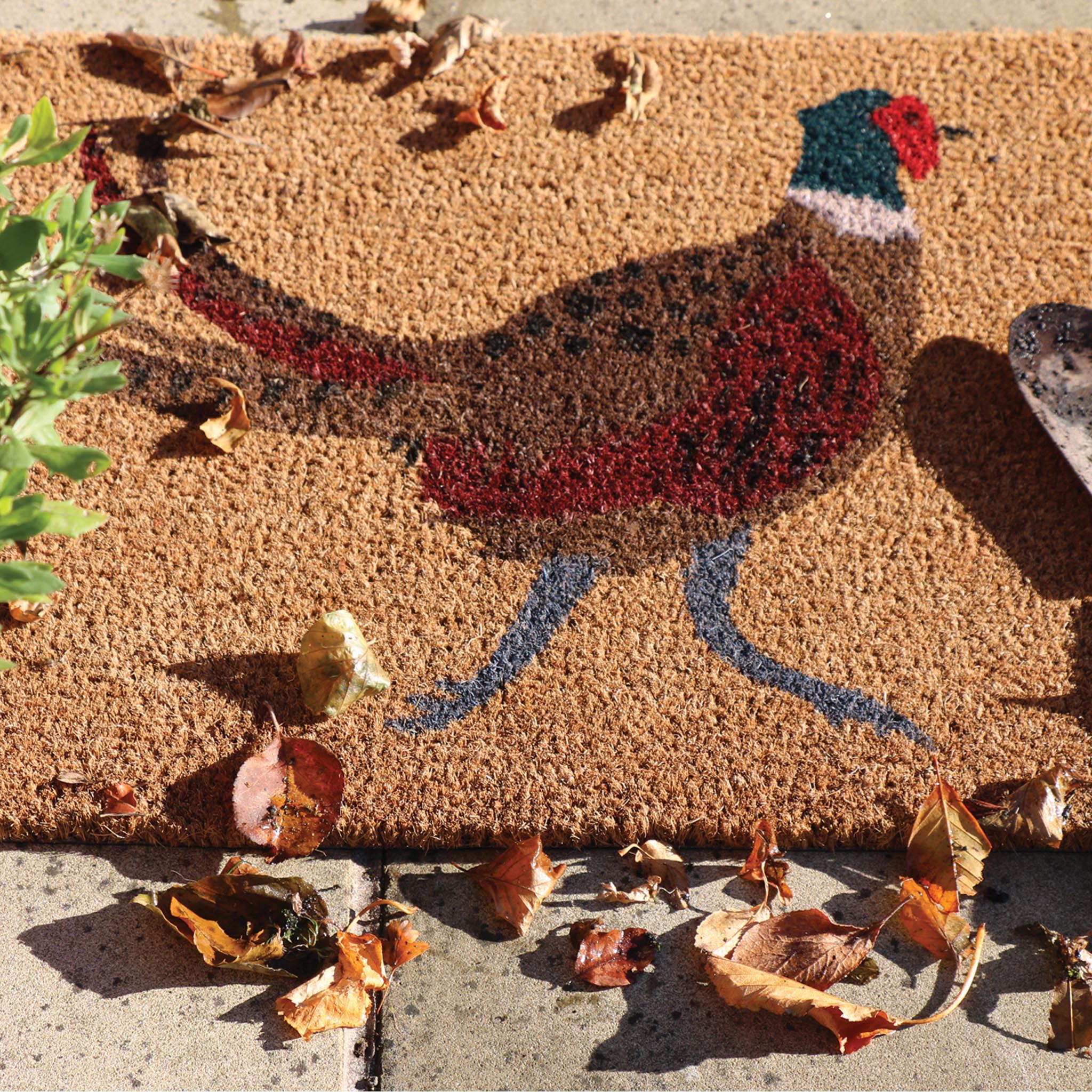 Printed Coir Pheasant Doormat