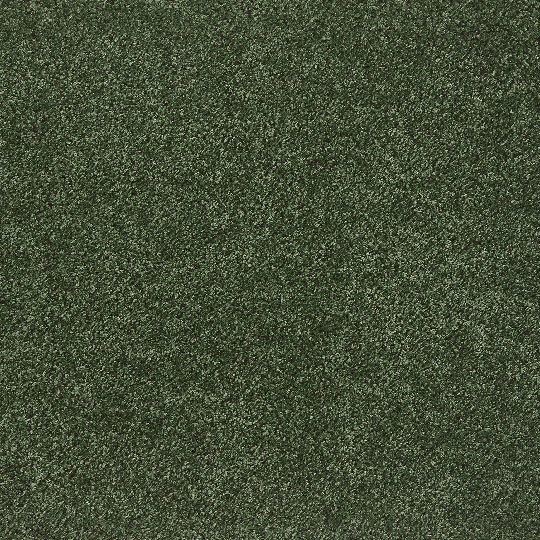 Forest Green Washable Rug in a solid green colour, fully machine washable.