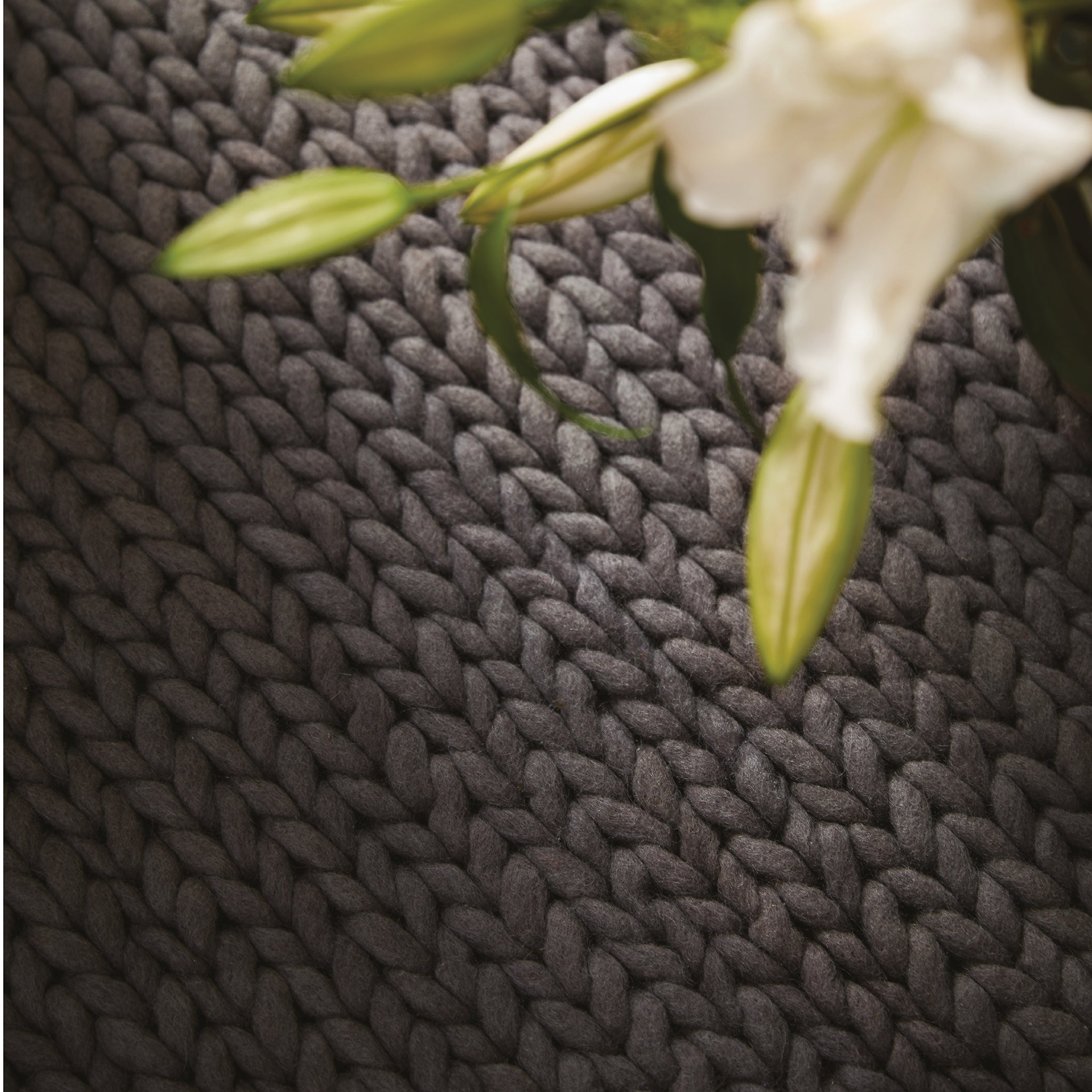 Fusion Rug Fossil 4