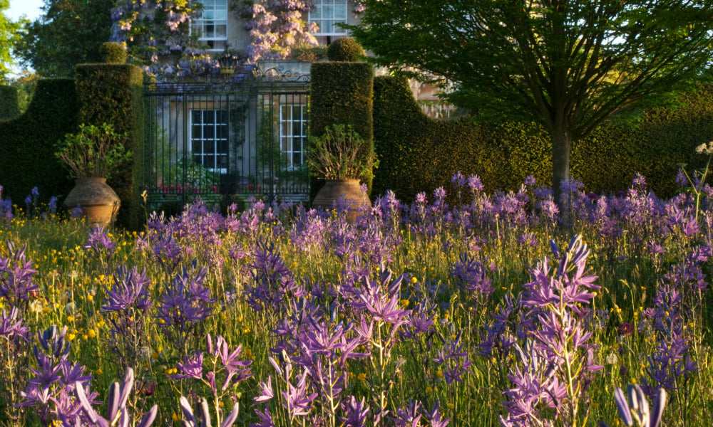 Highgrove by Sanderson x Hug Rug