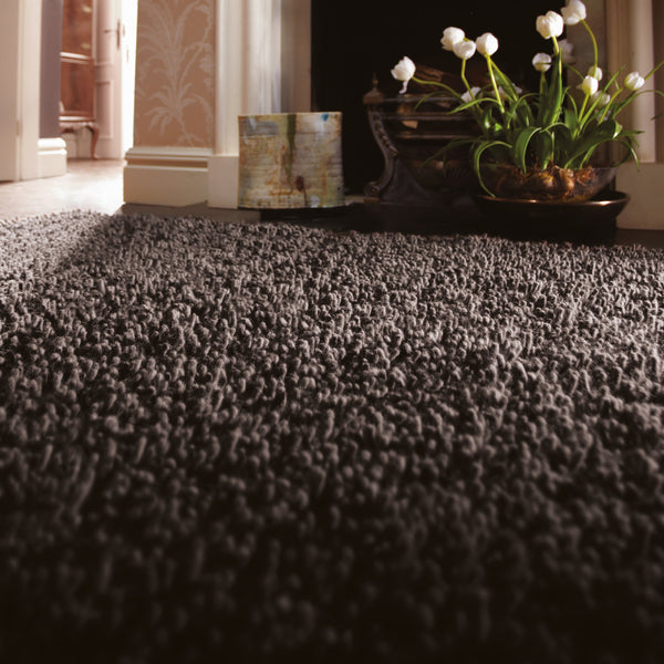 Imperial Rug Fossil 2