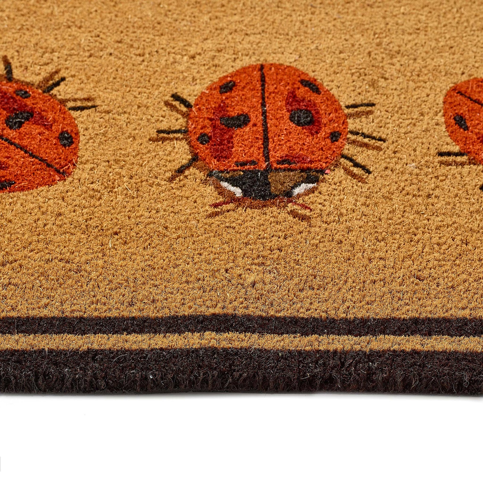 Ladybird Coir Doormat 4