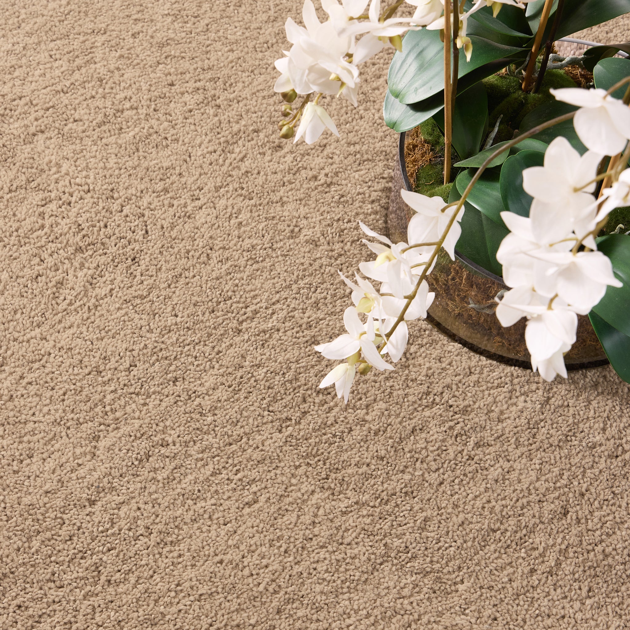 My Lux Stone Rug 6