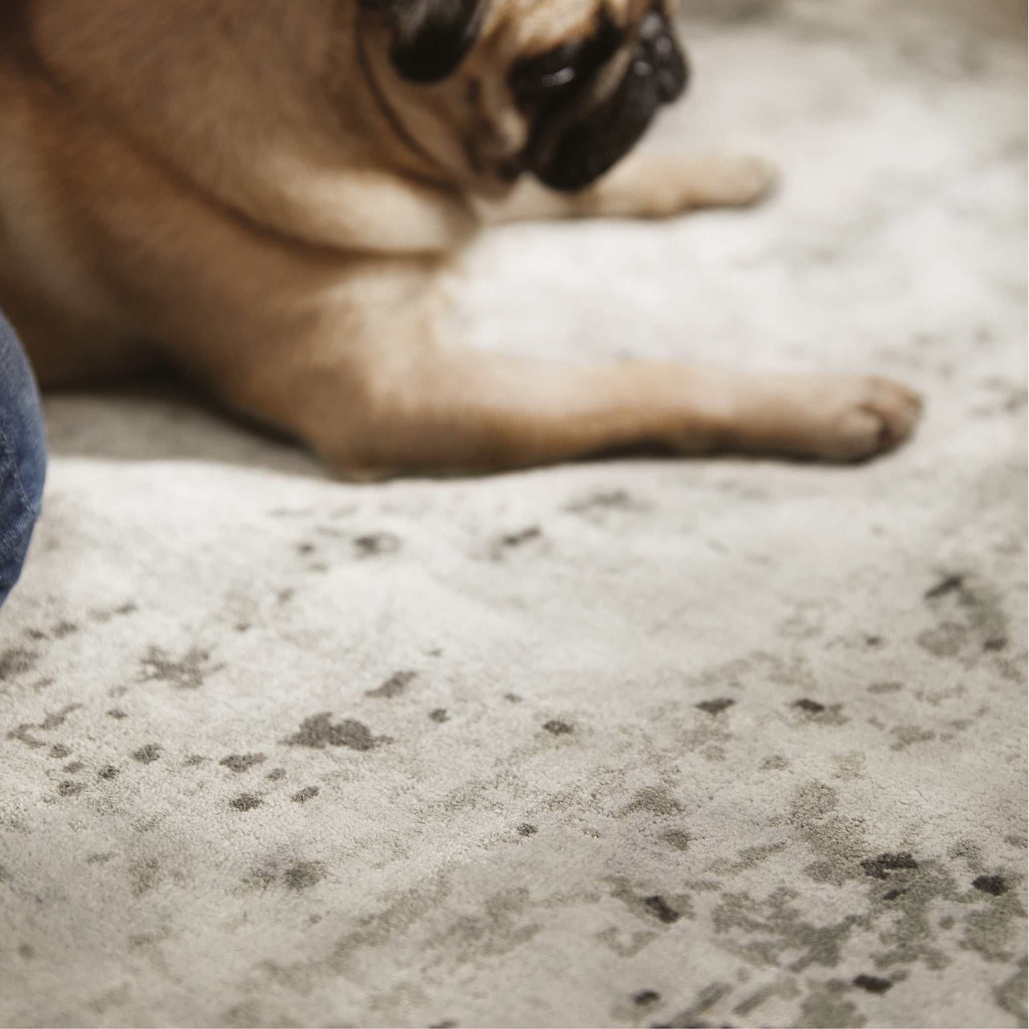 Persia Rug Fossil Cloud Rug made from 100% viscose, featuring a diamond pattern in the centre.