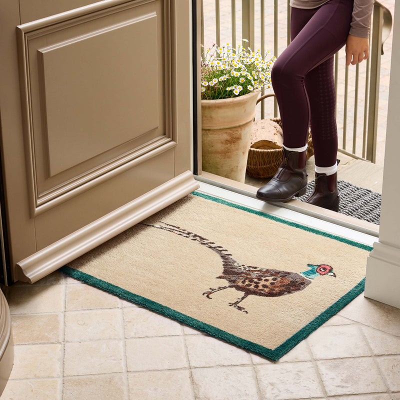 A rectangular entryway doormat with a pheasant illustration and teal border. 