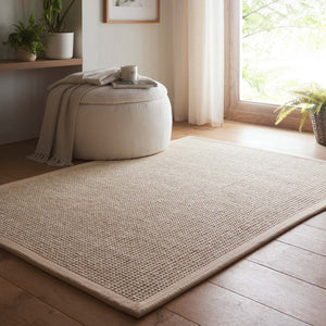 Sisal Boucle Beige Rug- a jute wool blend rug with a beige border. 