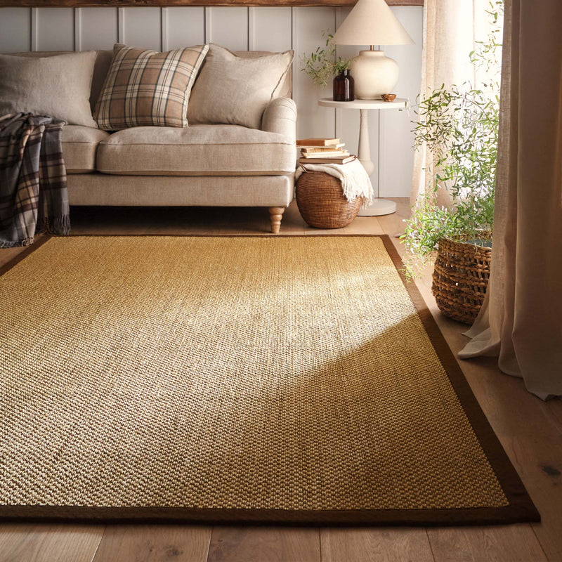 Sisal Natural with Dark Brown Border Rug, styled in a living room.