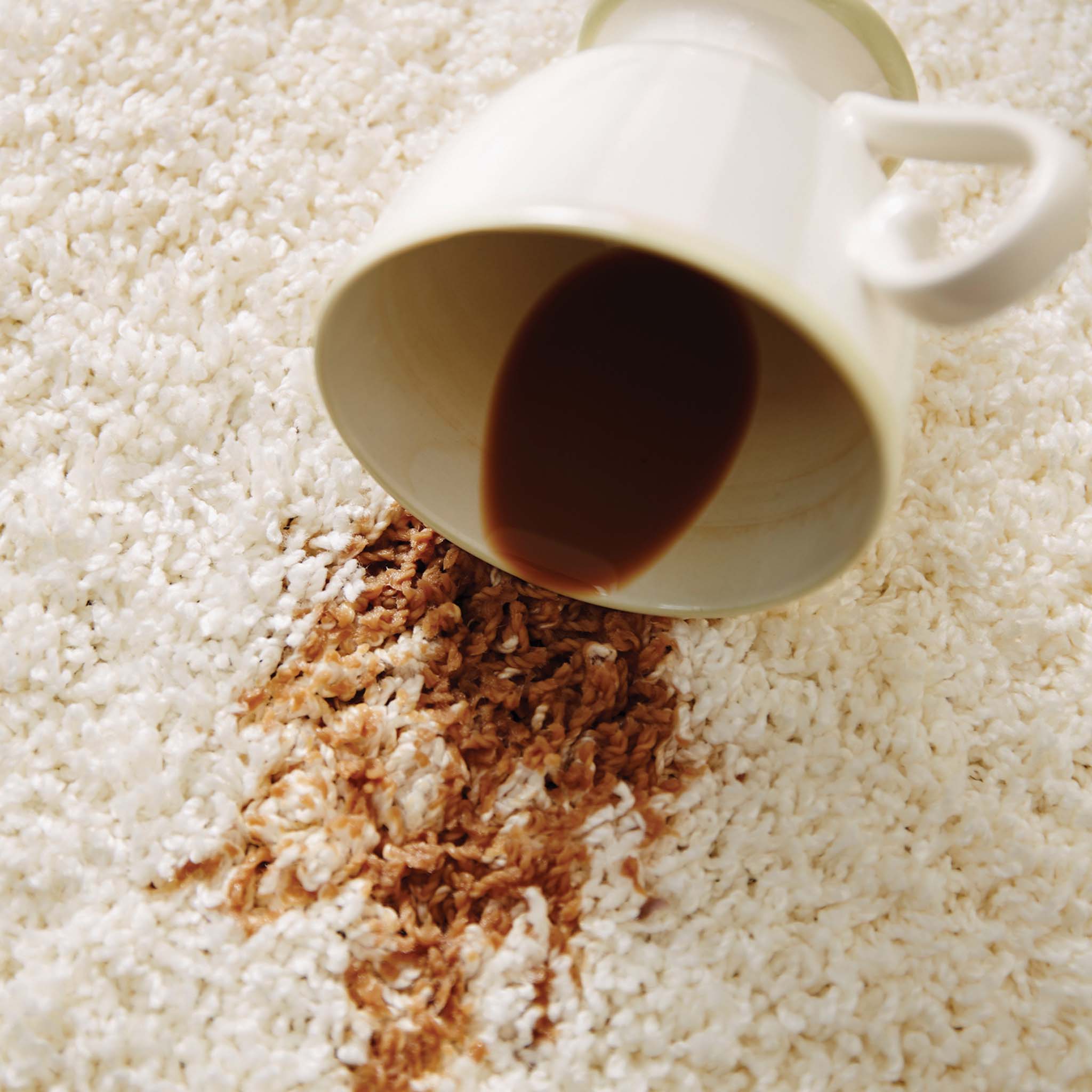 My Rug Ivory Spill Image.