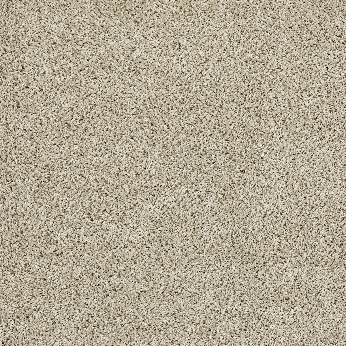 My Rug Washable in Stone Beige 5