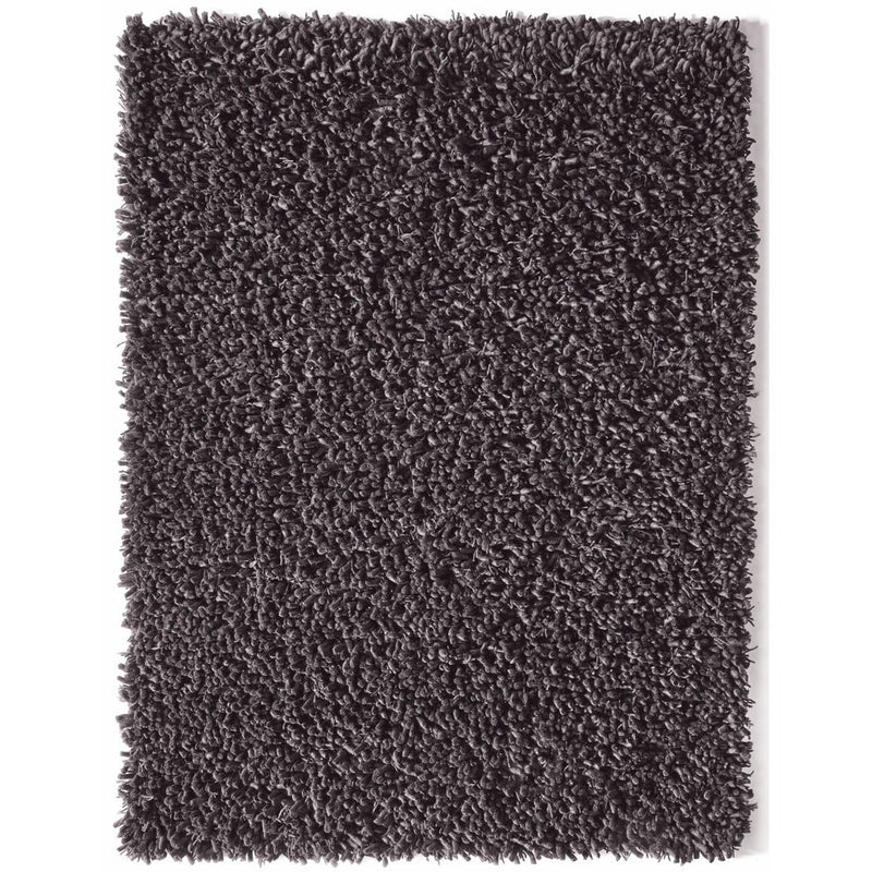 Maine Rug Fossil 1